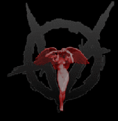 abrujah-.gif (7242 bytes)